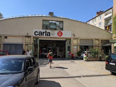 carla mittersteig - Caritas Wien