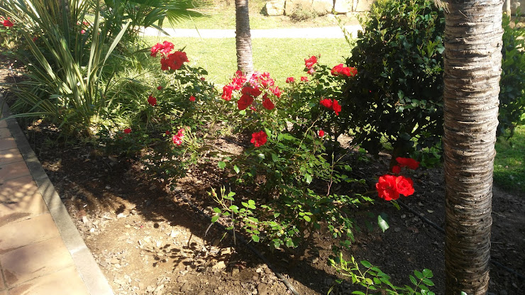 Photos des visiteurs Apartamento turístico Apartamento Dama de Noche Marbella 29660 Marbella