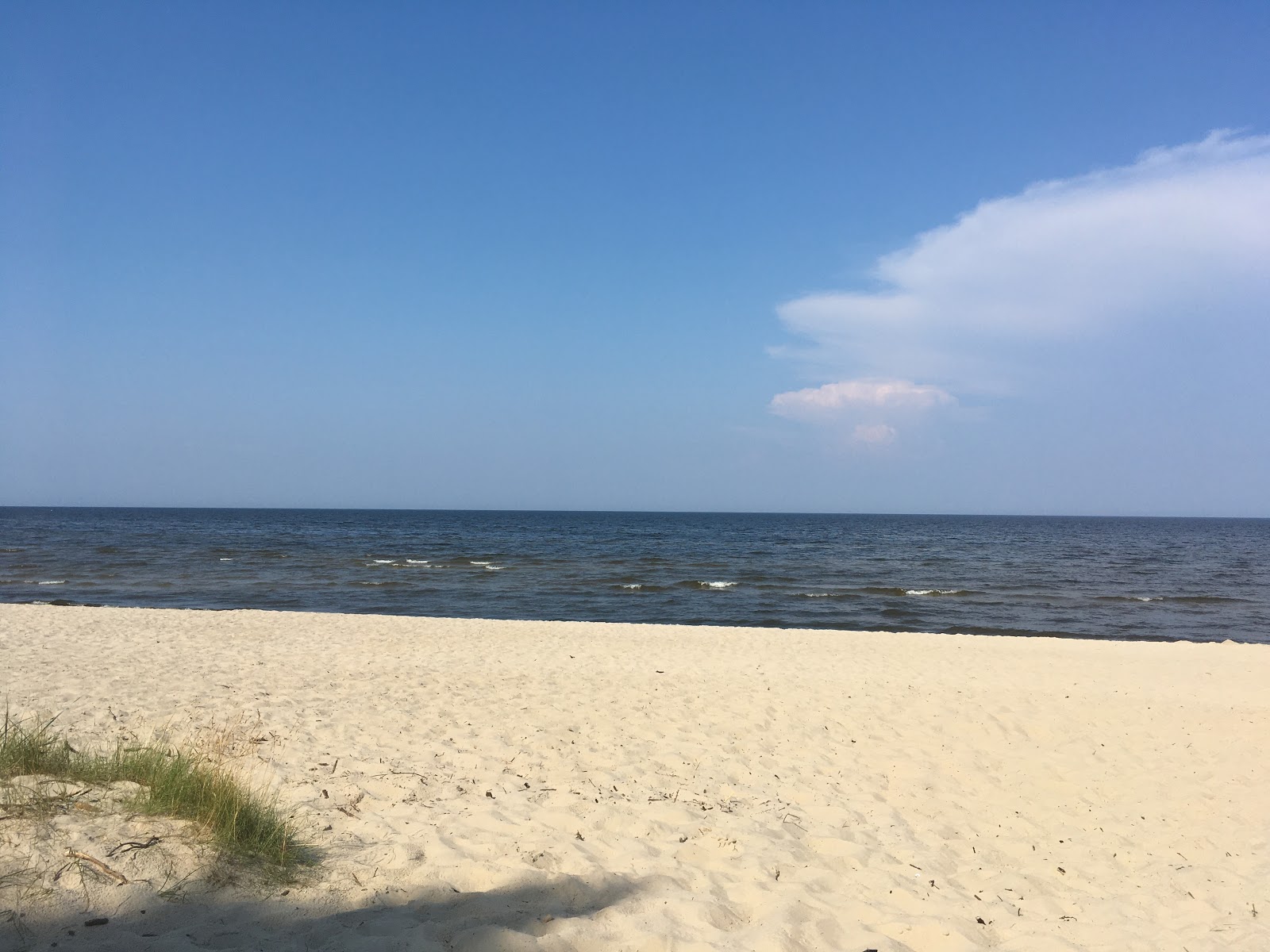 Plienciema kapa beach'in fotoğrafı - tatil için iyi evcil hayvan dostu nokta