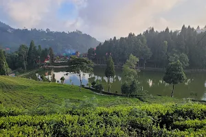 Antu Pokhari image