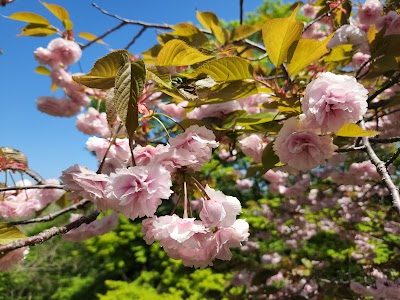 倶利伽羅県定公園