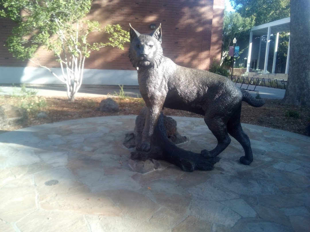Chico State Wildcat Sculpture