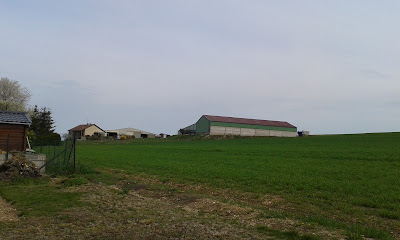 Elvinger Plâtrerie (SARL) à Rigny-la-Salle