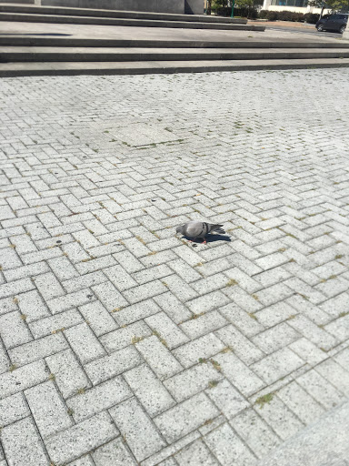 Tourist Attraction «Clinton Square», reviews and photos, 161 W Genesee St, Syracuse, NY 13202, USA