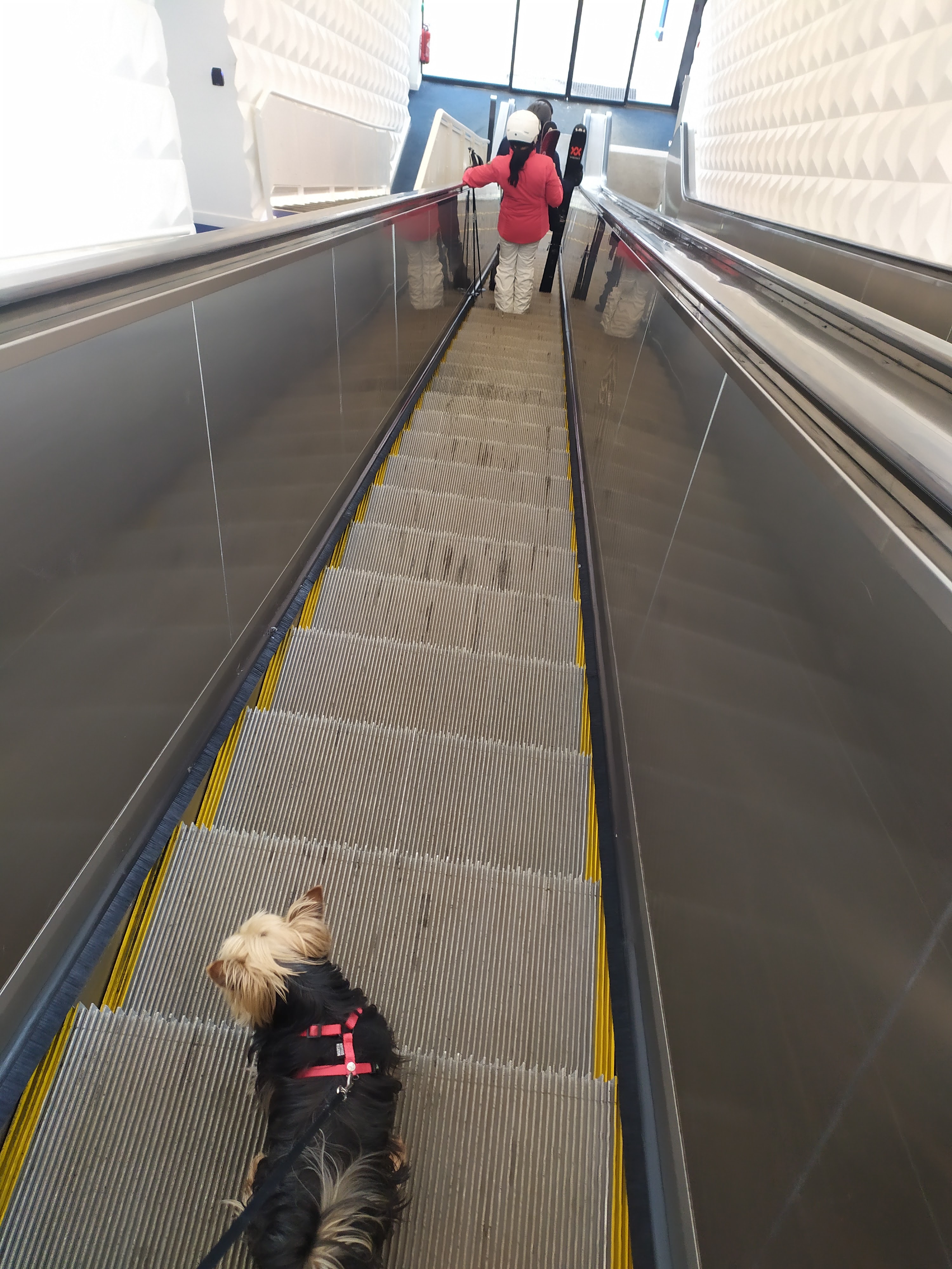 Photo n° 19 de l'avis de Christelle.E fait le 23/04/2023 à 16:43