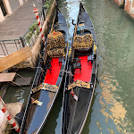 Photo n°9 de l'avis de Ron.r fait le 29/09/2022 à 00:44 sur le  Palais Gritti à Venice