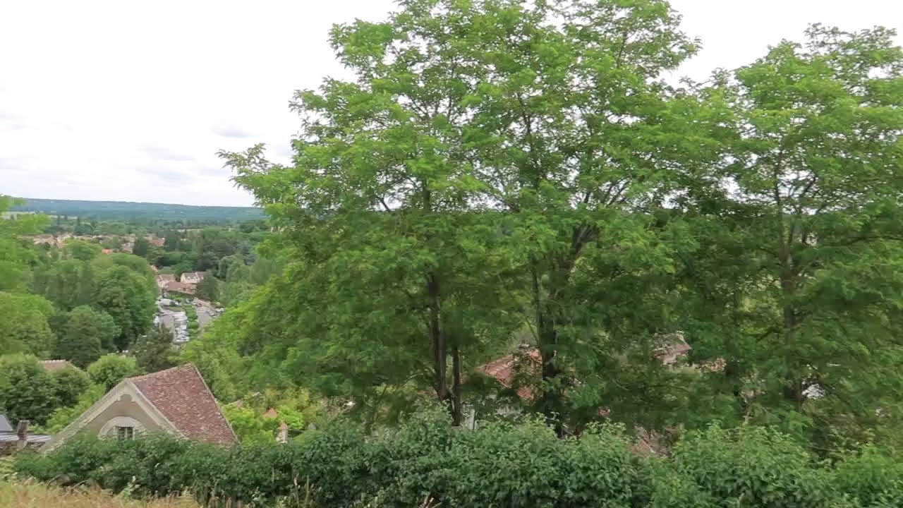 Photo n° 10 de l'avis de Ryan.e fait le 10/07/2021 à 16:17