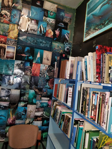 Book Store «Recycled Books Records CDs», reviews and photos, 200 N Locust St, Denton, TX 76201, USA