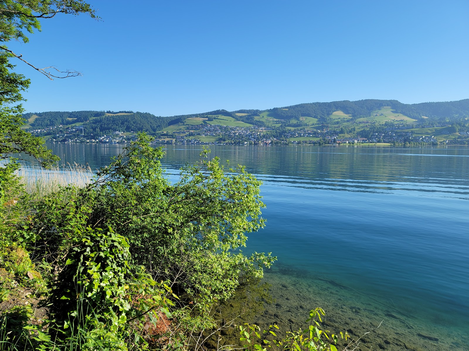 Photo of Bergwald Beach with turquoise pure water surface