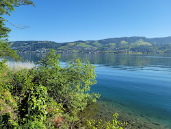 Bergwald Beach'in fotoğrafı kısa, düz kıyı şeridi ile birlikte