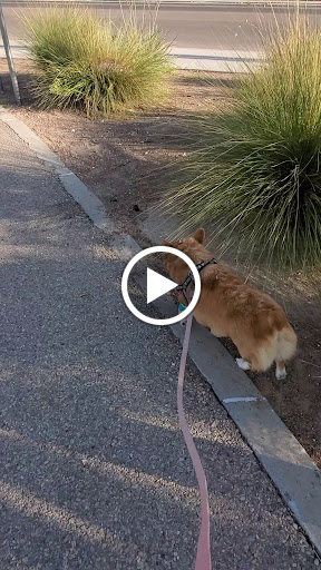 Park «Burning Mesquite Park», reviews and photos, 12547 Cevallia Ave, El Paso, TX 79928, USA