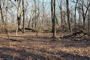 Hickory Hills Woods image