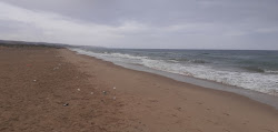 Dashria Beach的照片 野外区域