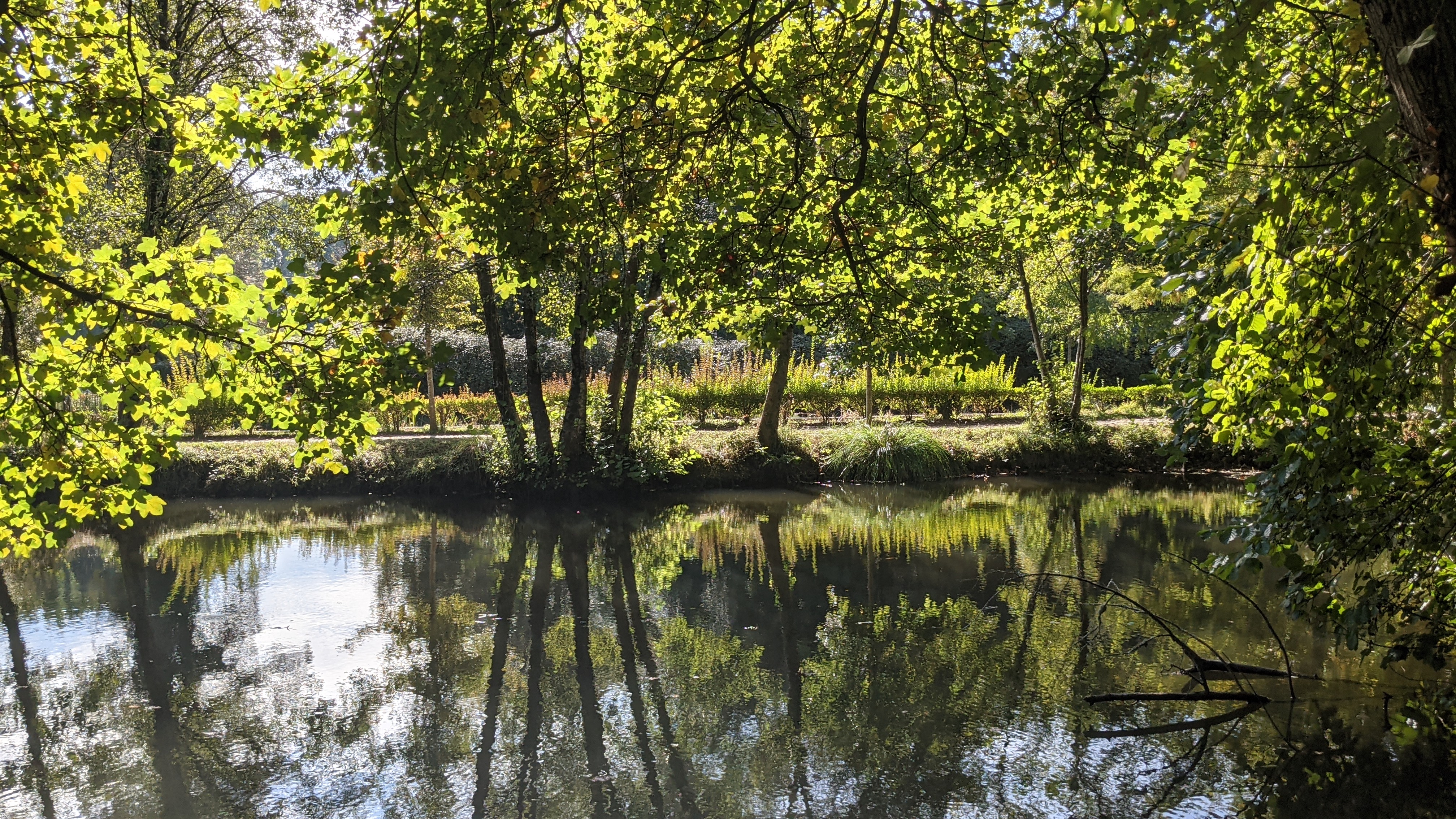 Photo n° 8 de l'avis de Gaétane.s fait le 18/10/2021 à 18:50