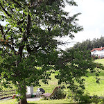 Photo n°1 de l'avis de Siegfried.e fait le 13/07/2022 à 17:24 sur le  Gästehaus Marianne à Sankt Georgen im Schwarzwald