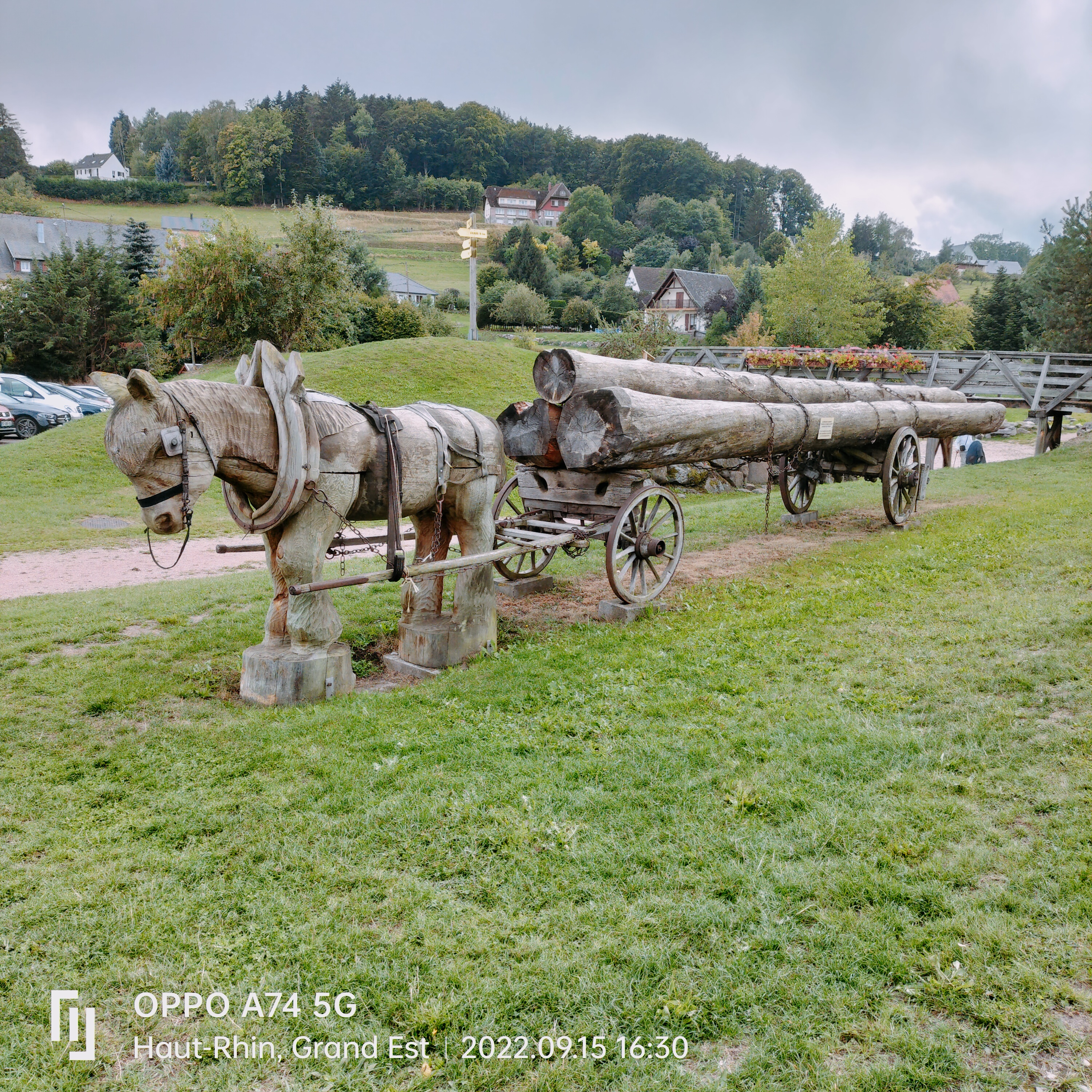 Photo n° 1 de l'avis de Guy.e fait le 29/09/2022 à 12:58
