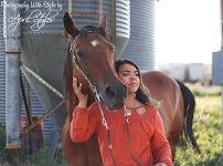 April Styles Photography - Photo 5 - Car repair in Pueblo West, CO, Pueblo