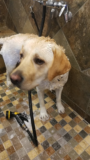 Pet Store «Pet Valu», reviews and photos, 378 Kelly Rd, Vernon, CT 06066, USA