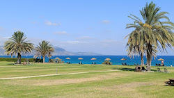 Photo de Natura Beach avec rivage droit, long