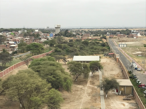 Universidad Privada Antenor Orrego (UPAO)