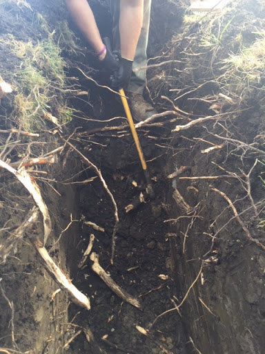 Plumber «Apex Plumbing», reviews and photos, 3119 W Irving Park Rd, Chicago, IL 60618, USA