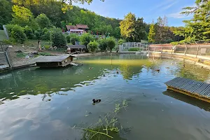 Tierpark Bad Zurzach image