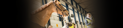 Photos of LACHS (Liege Air Cargo Handling Services S.A.)