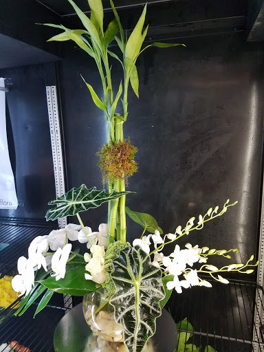 Florist «Alborada Florist», reviews and photos, 17 Huguenot St, New Rochelle, NY 10801, USA