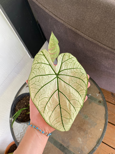 Animal Feed Store «Mid-County Farm & Feed Supply», reviews and photos, 128 S Twin City Hwy, Nederland, TX 77627, USA