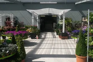 Listowel Garden Centre and Thyme Out Cafe image
