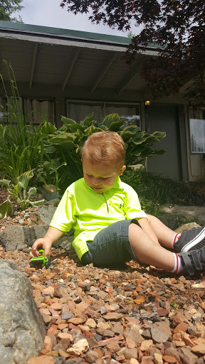 Tourist Attraction «Dalby Water Wheel», reviews and photos, 6940 WA-106, Union, WA 98592, USA