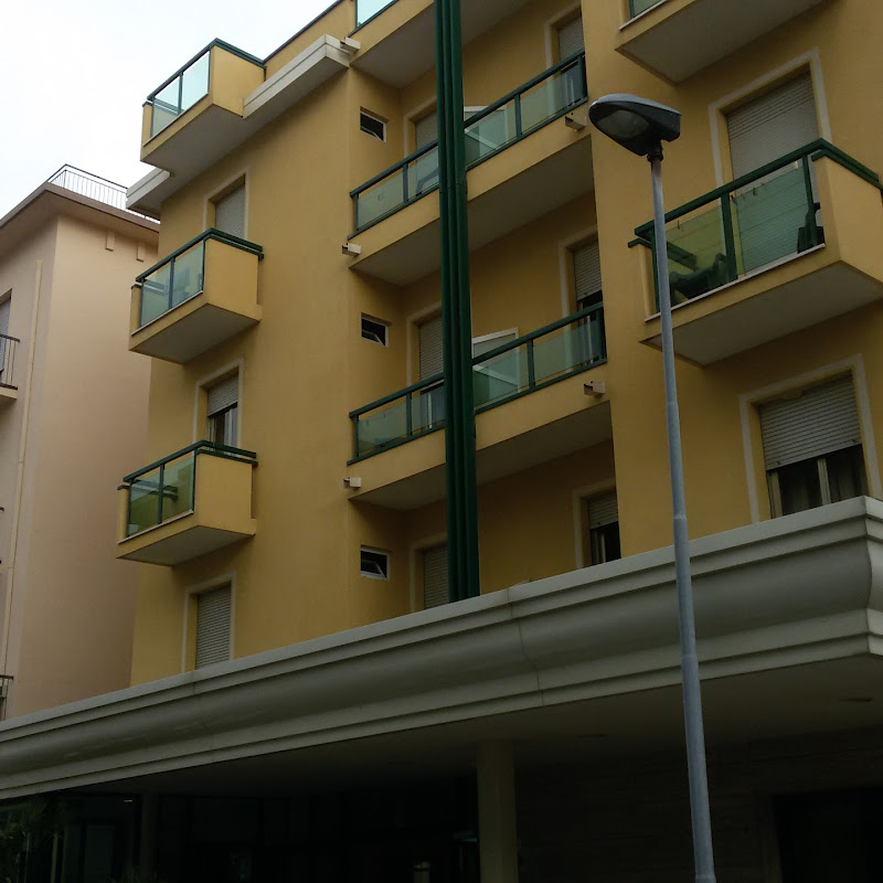 Hotel Vedea