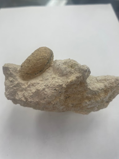 Jewelry Store «JP Gems & Jewelry», reviews and photos, 545 W 17th St, Holland, MI 49423, USA