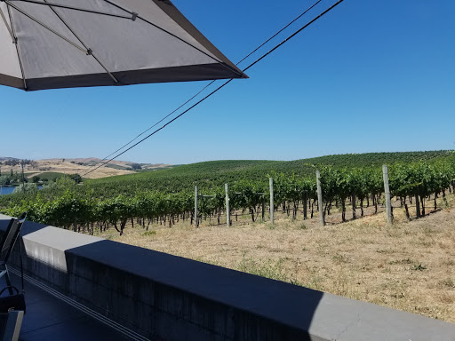 Winery «Cuvaison Estate Wines», reviews and photos, 1221 Duhig Rd, Napa, CA 94559, USA