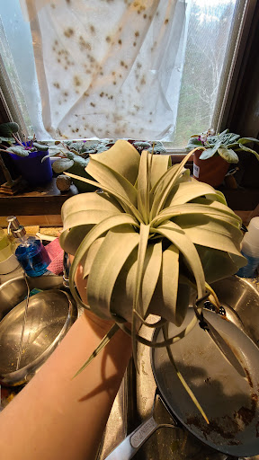 Home Improvement Store «The Home Depot», reviews and photos, 56 Myrick St, Ellsworth, ME 04605, USA