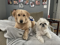 Next Generation Pet Wellness LLC - Photo 2 - Car repair in Grand Rapids, MI, Grand Rapids