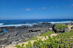 Hawaiian Monk Seal Beach image