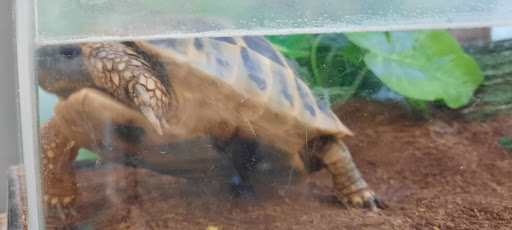 Pet Supply Store «Petco Animal Supplies», reviews and photos, 1419 Towne Square Blvd NW, Roanoke, VA 24019, USA