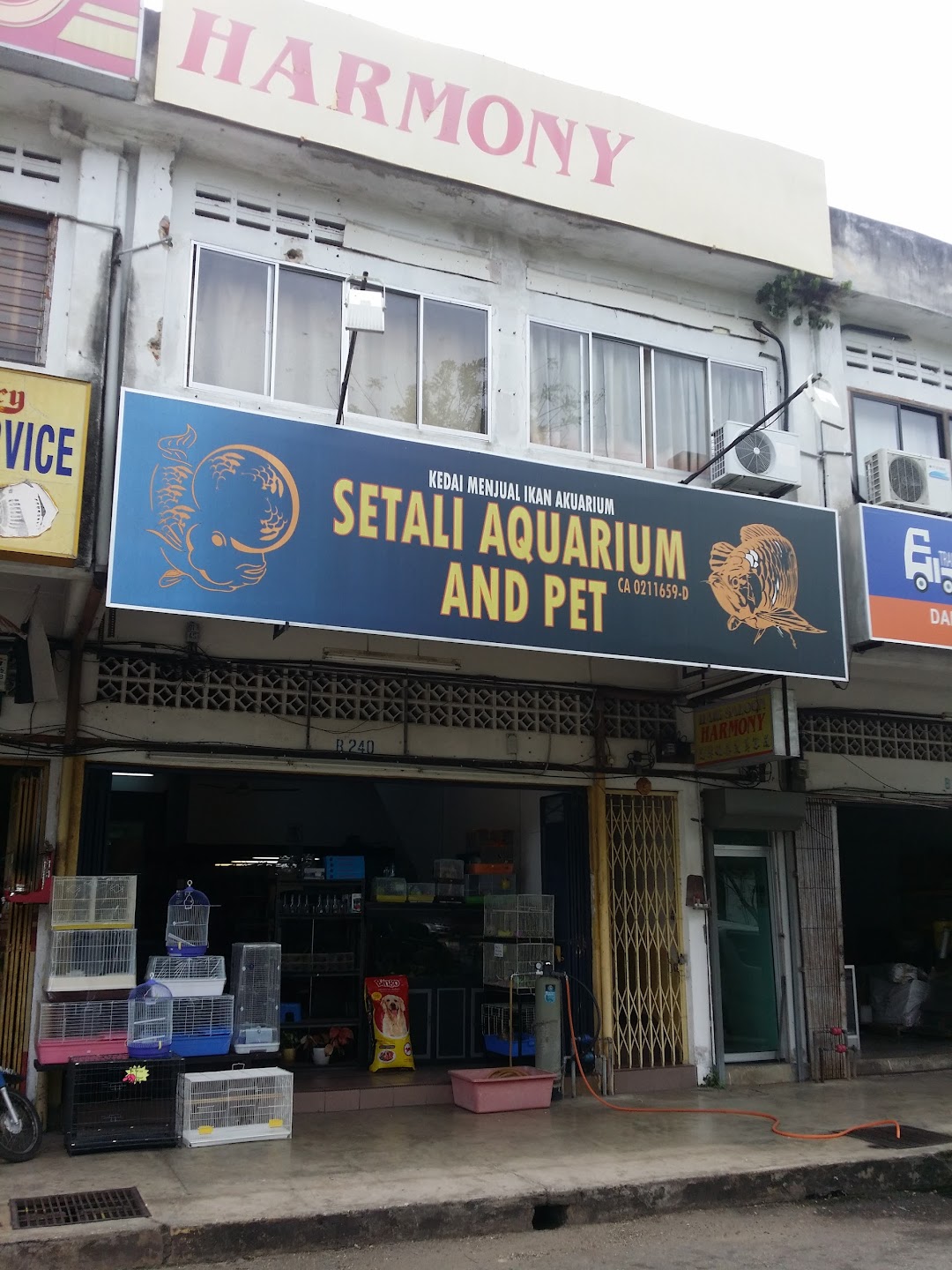 Setali Aquarium And Pet