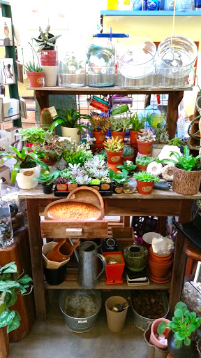 Florist «Flowers in Flight», reviews and photos, 1413 NE Alberta St, Portland, OR 97211, USA