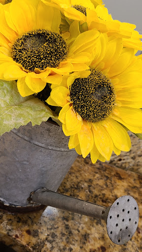 American Restaurant «The Sunflower Bakery & Cafe», reviews and photos, 512 14th St, Galveston, TX 77550, USA