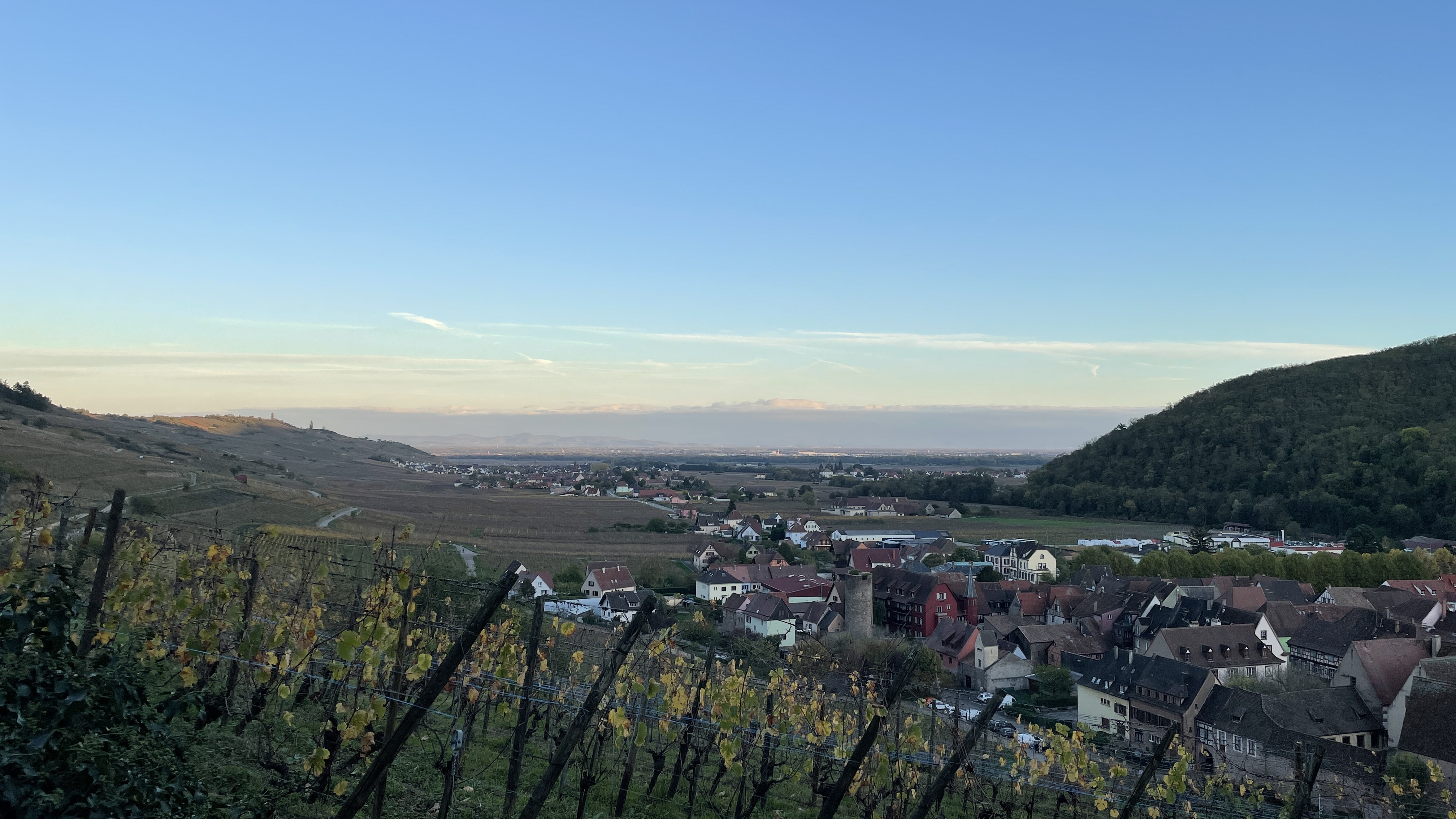 Photo n° 3 de l'avis de Blu.m fait le 02/11/2022 à 19:53