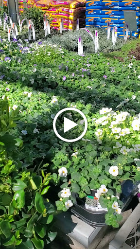 Home Improvement Store «The Home Depot», reviews and photos, 9150 W Stockton Blvd, Elk Grove, CA 95758, USA