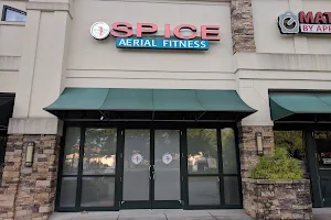 Spice Pole + Aerial Fitness image