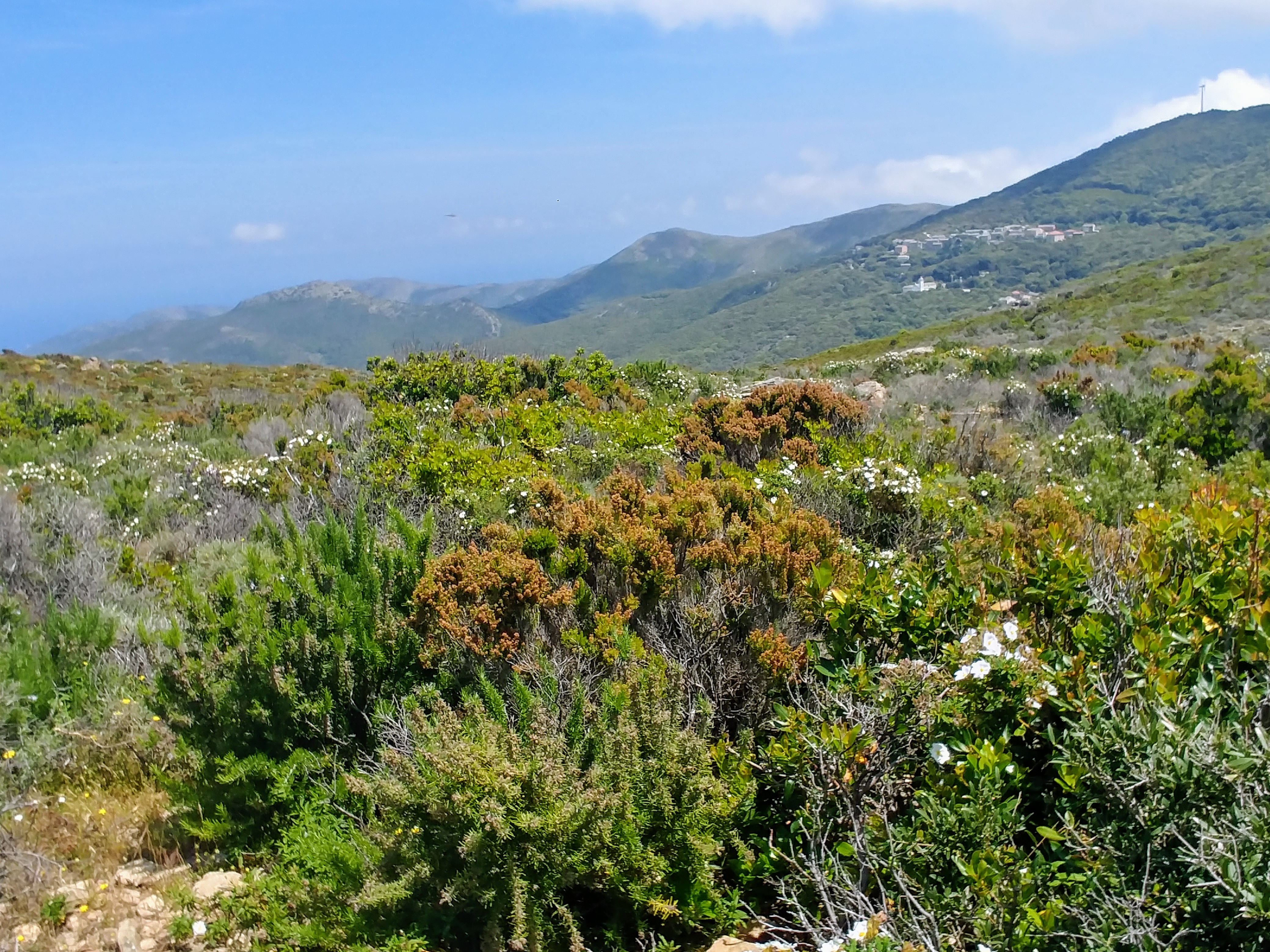 Photo n° 2 de l'avis de Emeline.E fait le 04/06/2019 à 19:18