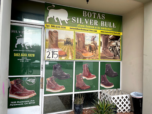Silver Bull Boots