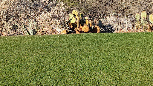 Golf Club «Rancho Manana Golf Club», reviews and photos, 5734 E Rancho Manana Blvd, Cave Creek, AZ 85331, USA