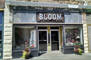 Bloom Flowers & Gifts image