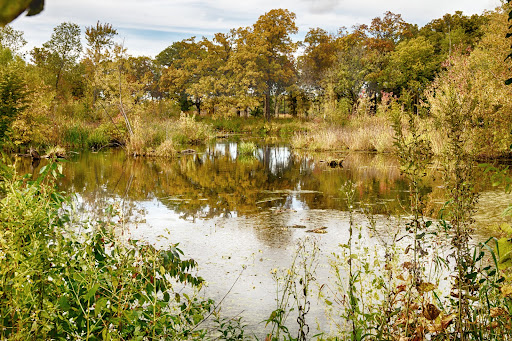 Nature Preserve «Crabtree Nature Center», reviews and photos, 3 Stover Rd, Barrington, IL 60010, USA
