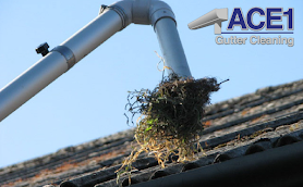 Ace 1 Gutter Cleaning